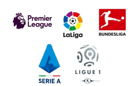 这一成果不 这一成果不